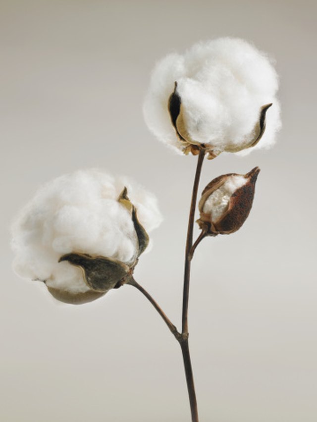 Is 80 Cotton 20 Polyester Good For Winter