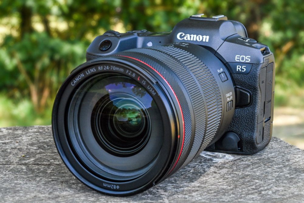 Which Mirrorless Camera Is Best